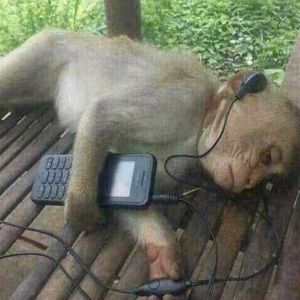 Meet your Posher, Kaleb